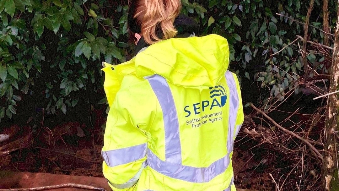sepa