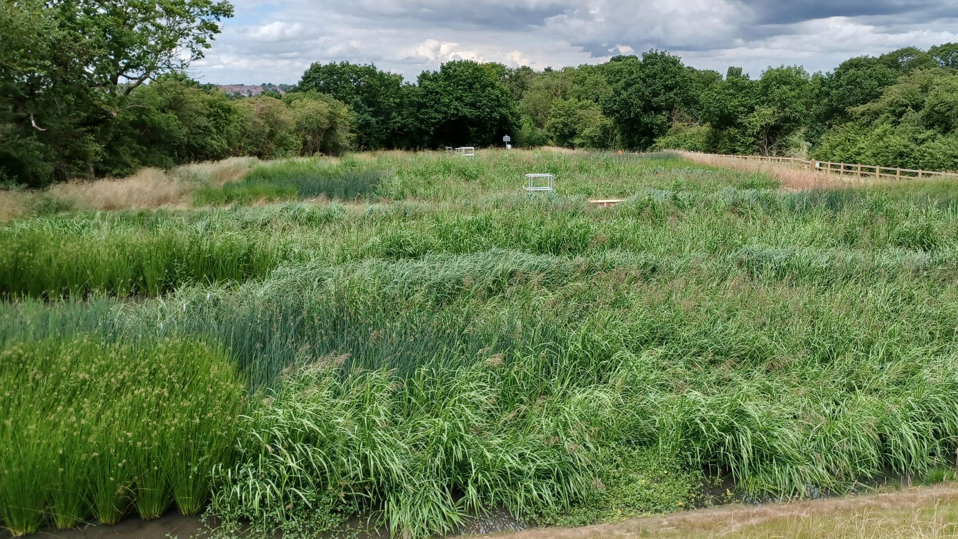 Constructed Wetlands For Wastewater Treatment Vrogue Co Constructed Wetlands For Wastewater Treatment Vrogue Co