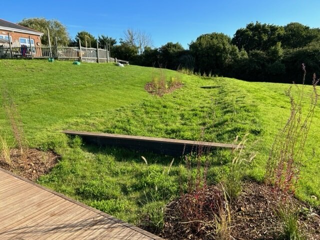 SUDS at Nettlestone Primary School in Seaview on the Isle of Wight (a swale)