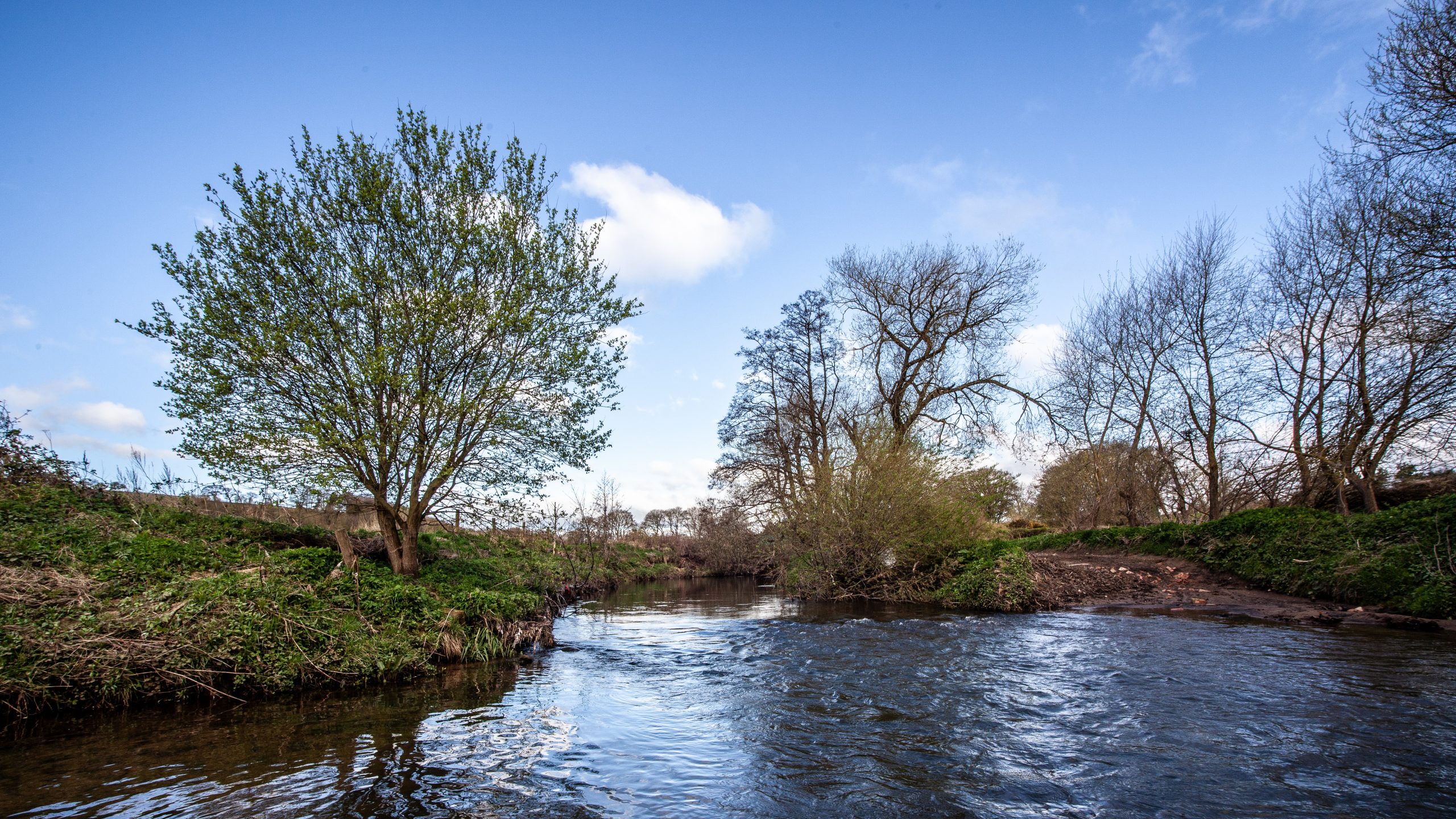 River Browney