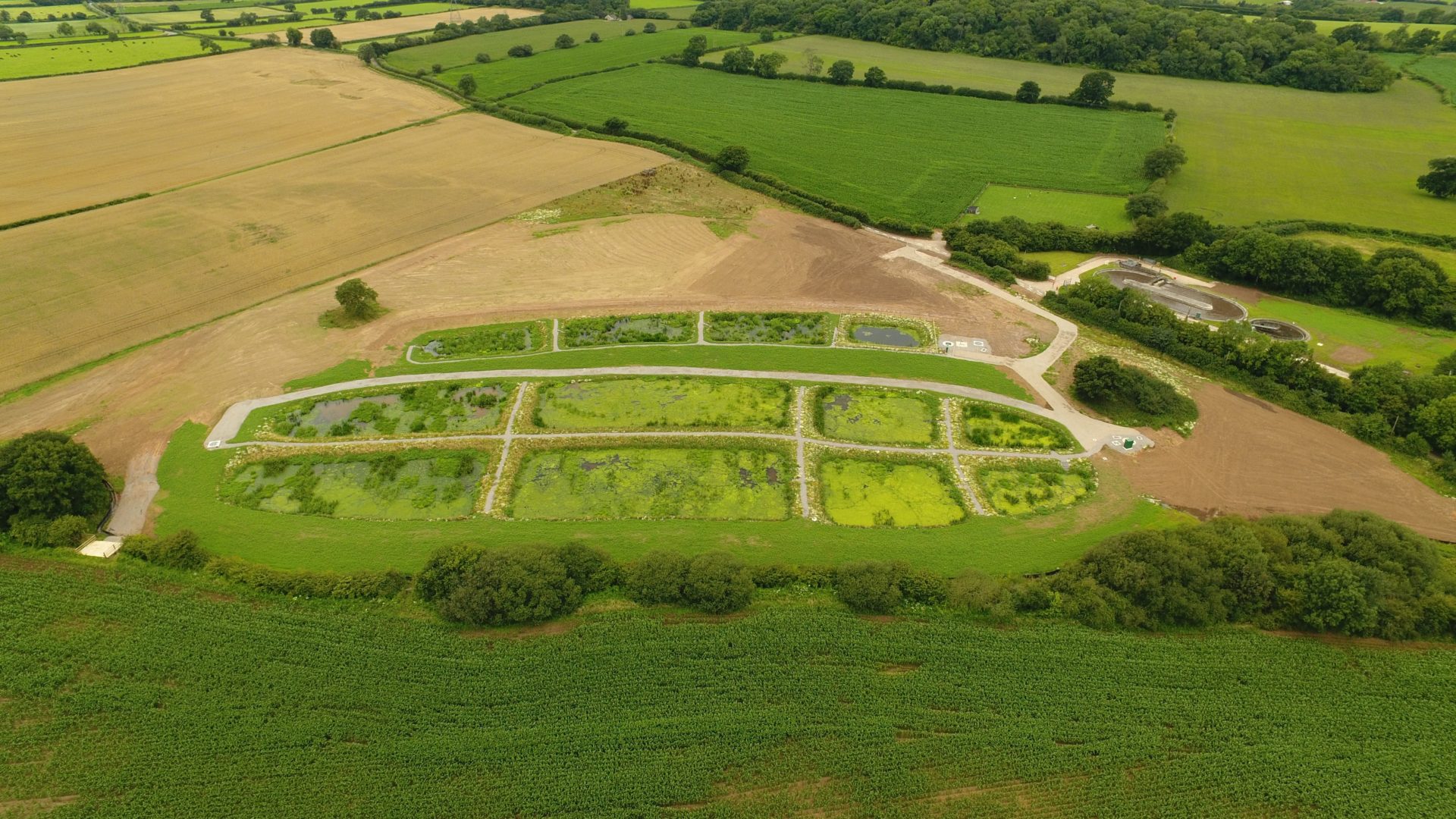 Wessex Water's constructed wetland at Cromhall Water Recycling Centre in South Gloucestershire has been an industry-leading trial to see how water quality might be protected and enhanced