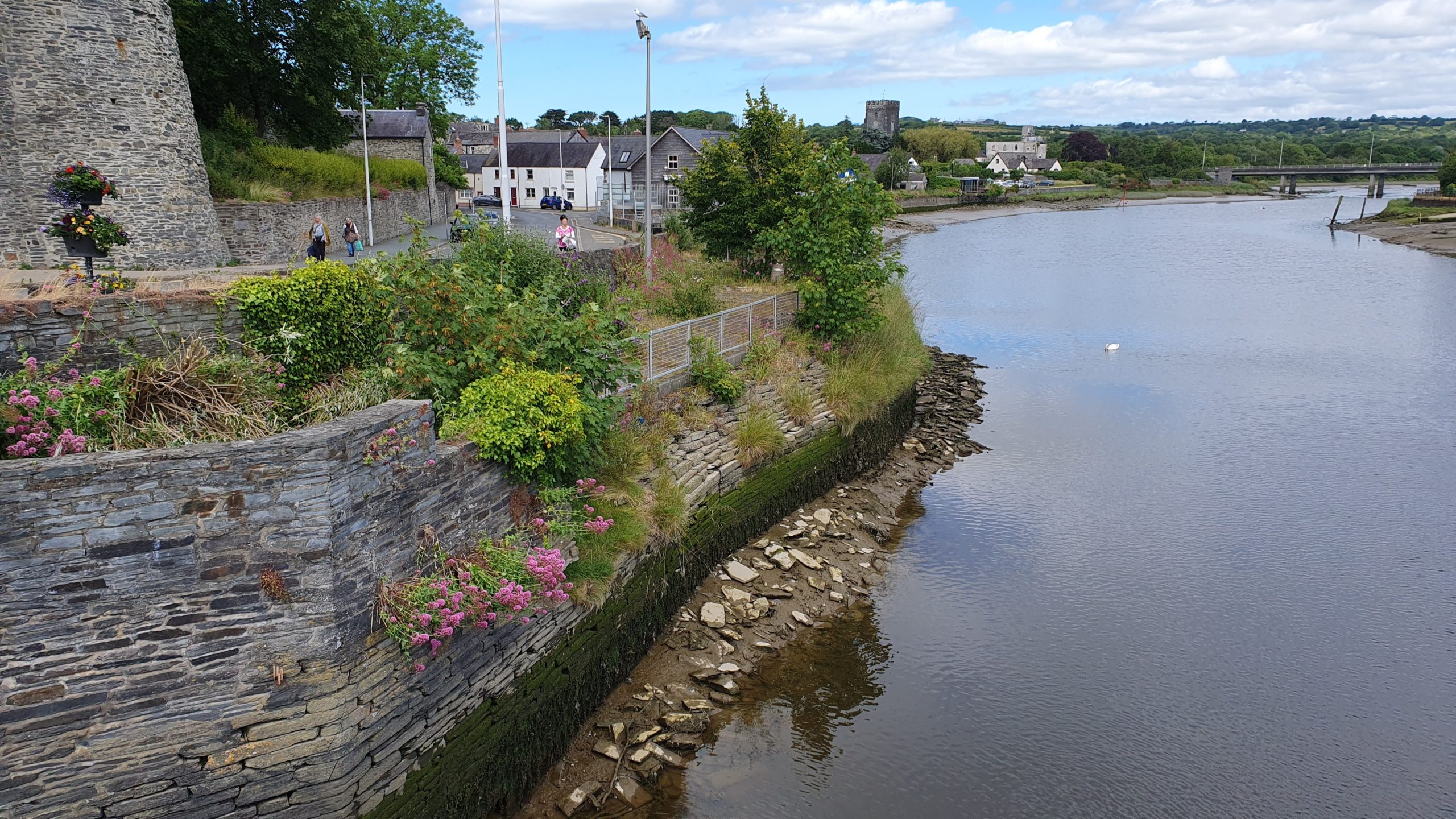 Binnies-Cardigan Tidal Flood Risk Management Scheme
