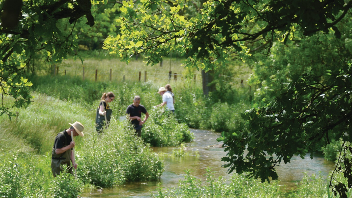 river chess