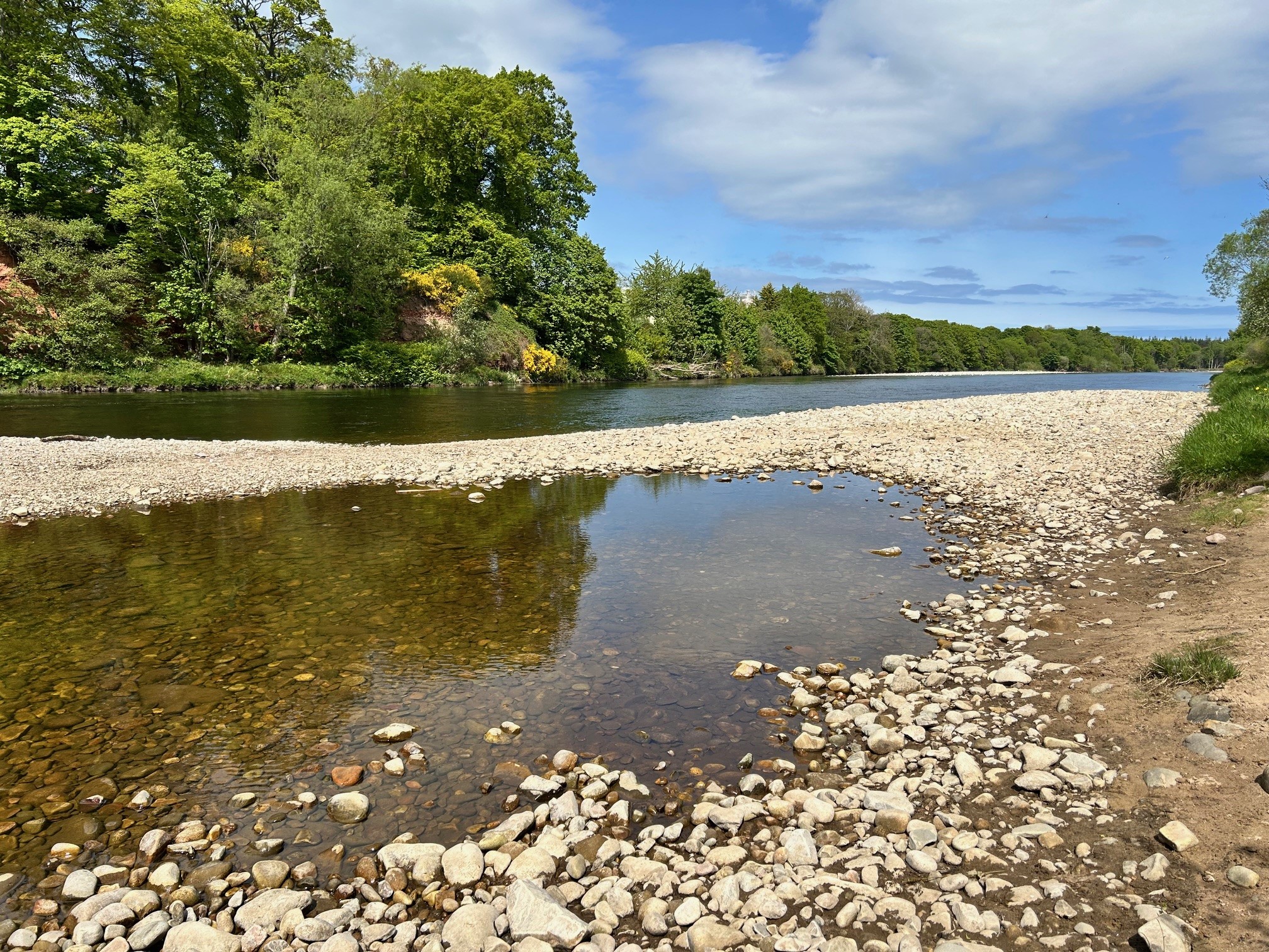 River Spey, taken at Fochabers on 6th May 2025