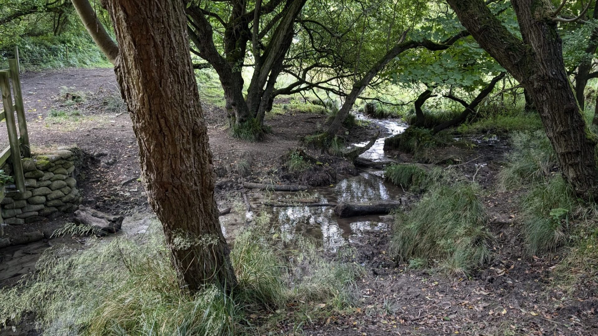 Sampled water course