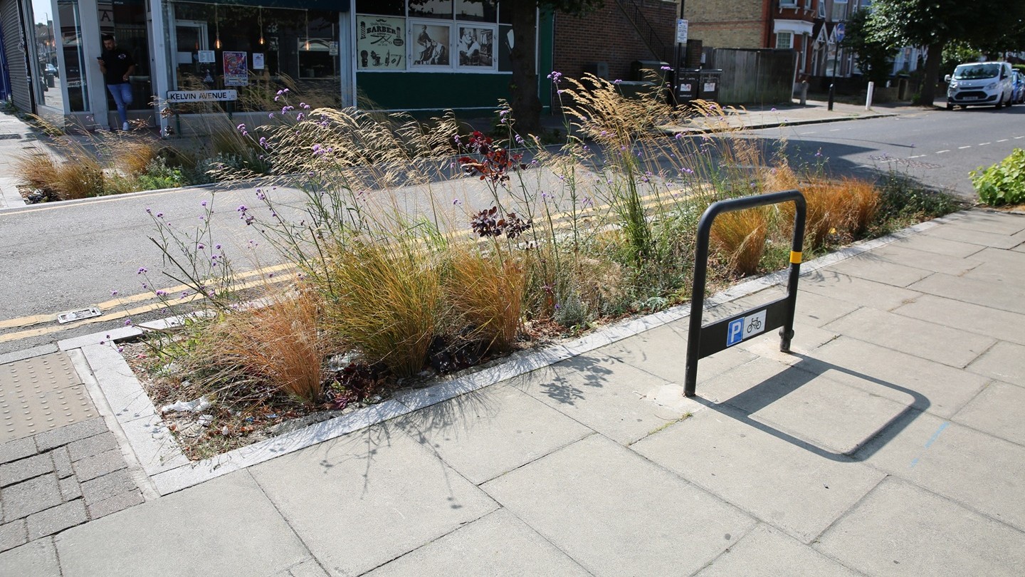 Green Lanes Rain Gardens