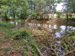 Dorset Wild Rivers